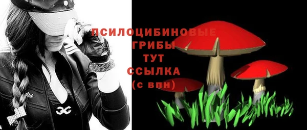 герыч Алексин
