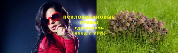 герыч Алексин