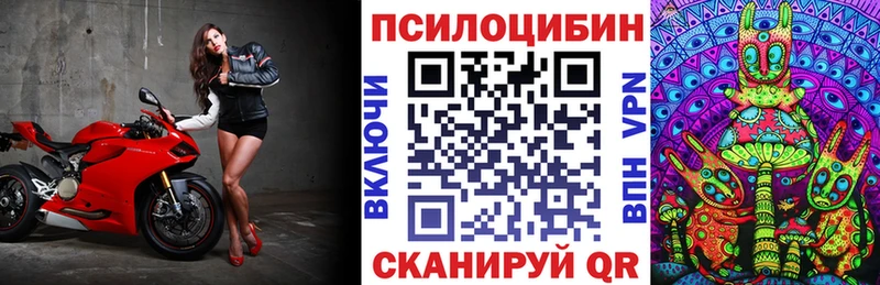 Псилоцибиновые грибы Magic Shrooms  МЕГА ссылки  darknet как зайти  Киреевск 