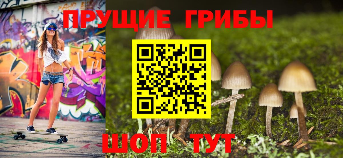 Киреевск  Псилоцибиновые грибы Psilocybe  Галлюциногенные грибы MAGIC MUSHROOMS  Вход с VPN 