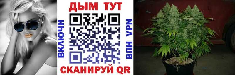 Каннабис Bruce Banner  блэк спрут зеркало  Киреевск 